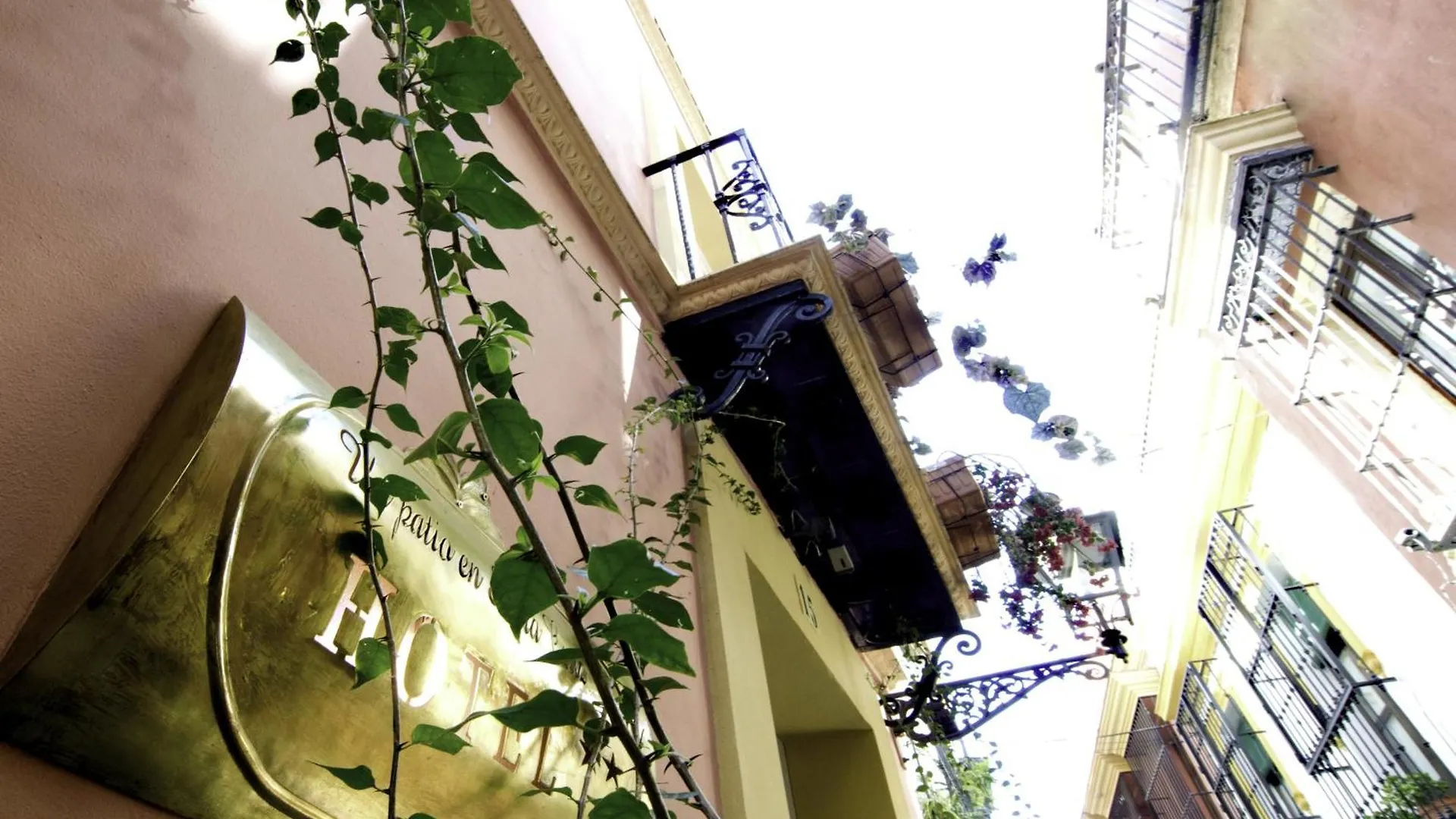 Un Patio En Santa Cruz Hotel Seville