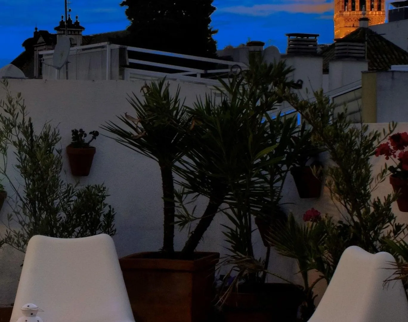 Un Patio En Santa Cruz contacts